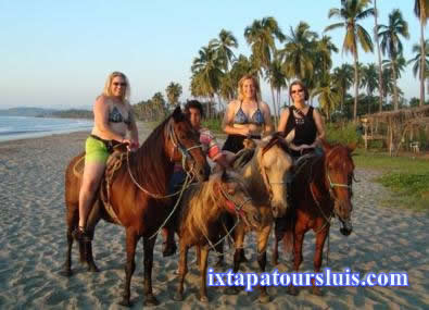 Horse Back Riding - At a Coconot Plantation by the beach